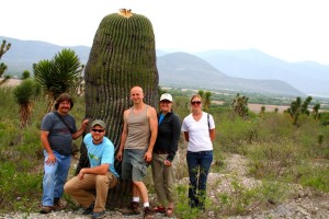 Echinocactus platyacanthus, Amy Buthod