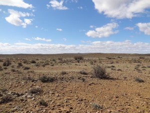 Karoo near Prince Albert, Danie van der Merwe