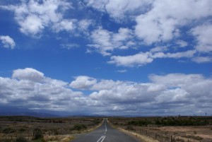 Wide Open Karoo Plains, Danie van der Merwe