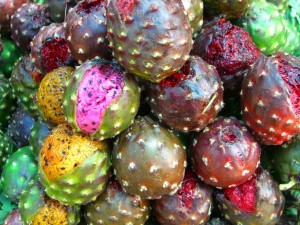 Pitaya fruits, Sam Blackman