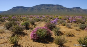 Tankwa Karoo, Martin Heigan