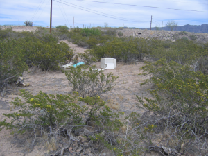 Trash in Opuntia arenaria habitat, destroying habitat