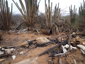 Desert trash, Mexico?