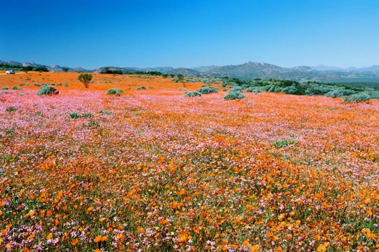 Skilpad, Namaqualand, Malcolm Manners