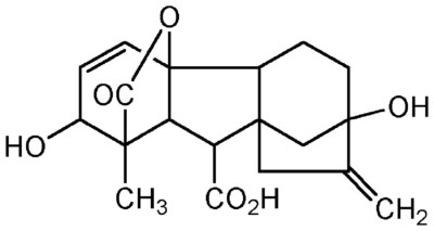 Gibberellic Acid