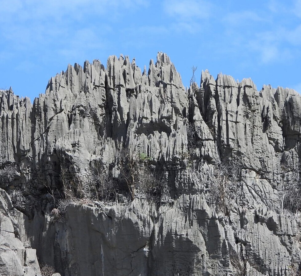 Aloe roeoesii habitat