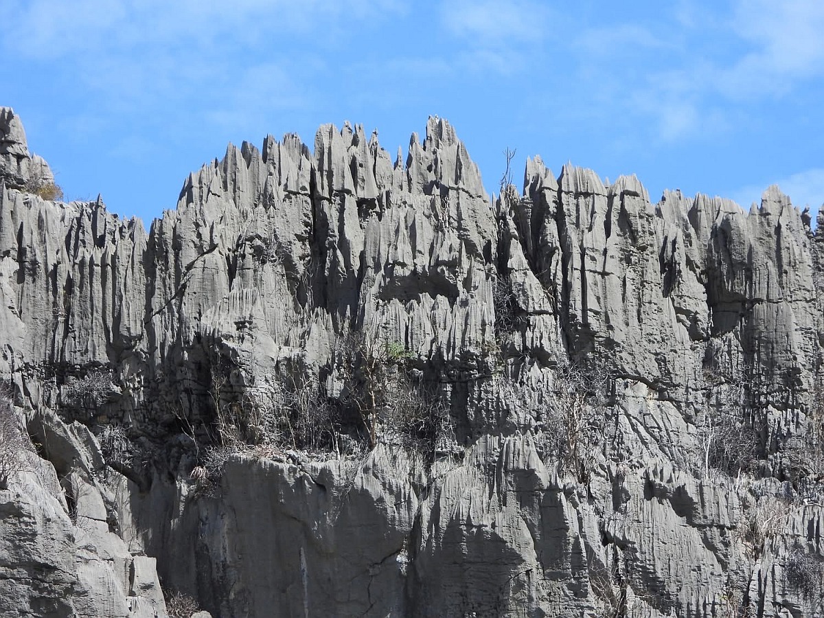 Aloe roeoesii habitat