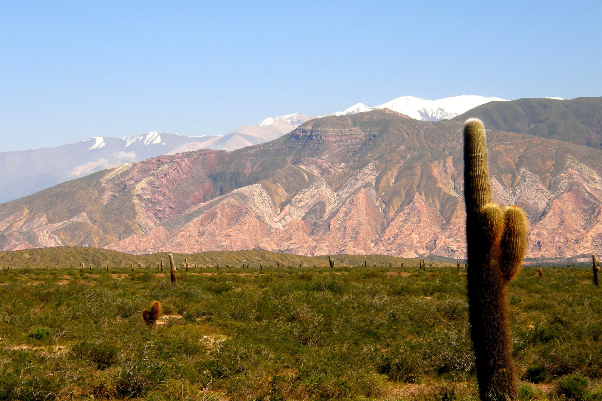 Parc National los cardones, Bachelot Pierre J-P