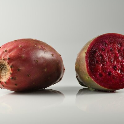 Opuntia ficus-indica, Ivar Leidus