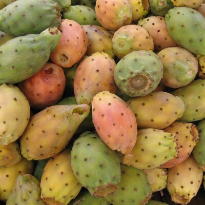 Tunas, 16-9clue