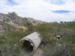 Opuntia arenaria habitat, Vinton, NM