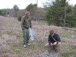 Opuntia nemoralis, in habitat near Lake Ouachita, AR, Barry Snow