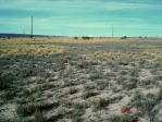 Opuntia zuniensis, habitat